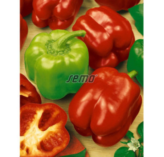 Paprika zeleninová Granova