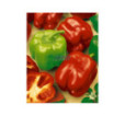 Paprika zeleninová Granova