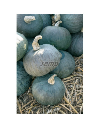 ďalší obrázok
