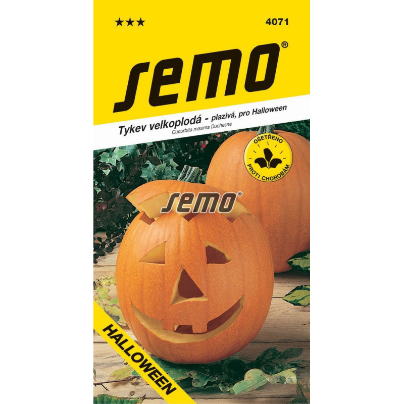 Tekvica halloween gran gigante