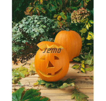Tekvica halloween gran gigante