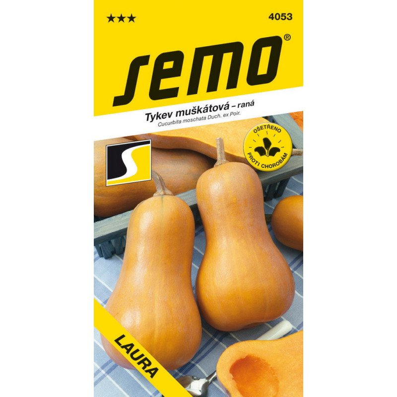 Tekvica na pecenie maslovaLaura Butternut