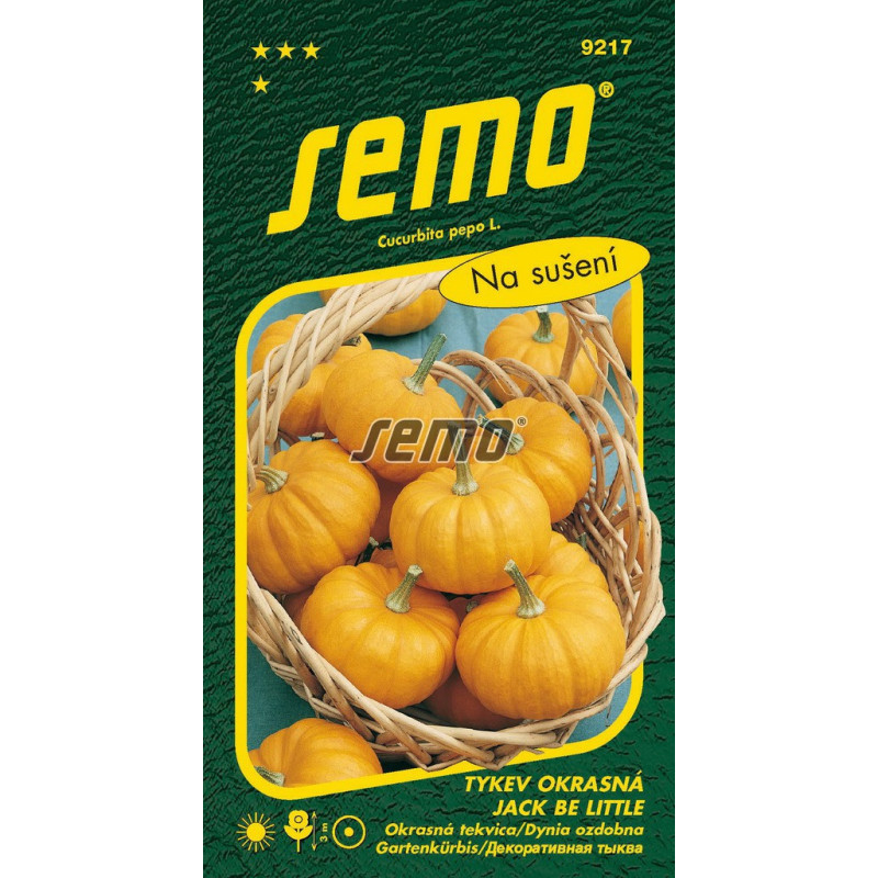 Tekvica okrasná Jack de litle