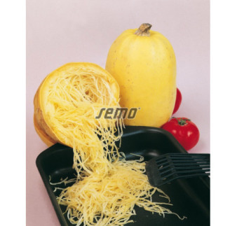 Tekvica spagetova Vegetable