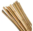 Tyč Garden KBT 750/8-10 mm, bal. 10 ks, bambus, oporná k rastlinám Tyč Garden KBT 750/8-10 mm, bal. 10 ks, bambus, oporná k rastlinám