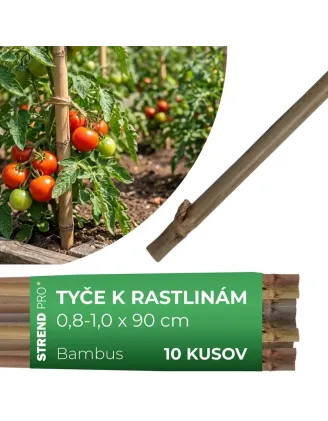 Tyč Garden KBT 900/8-10 mm, bal. 10 ks, bambus, oporná k rastlinám