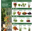 Tyč Garden KBT 900/8-10 mm, bal. 10 ks, bambus, oporná k rastlinám Tyč Garden KBT 900/8-10 mm, bal. 10 ks, bambus, oporná k rastlinám
