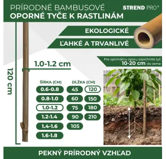 Tyč Garden KBT 1200/10-12 mm, bal. 10 ks, bambus, oporná k rastlinám