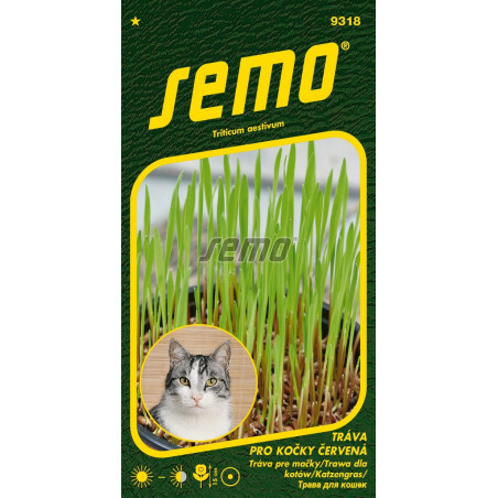 predný obrázok