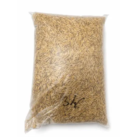 Ovos krmný 3 kg nelupaný