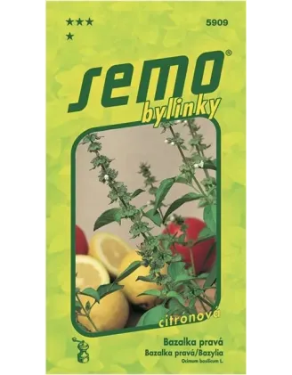 Bazalka Lime Citron