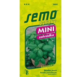 Bazalka Mammolo GenoveMini