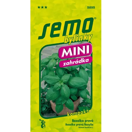 Bazalka Mammolo GenoveMini