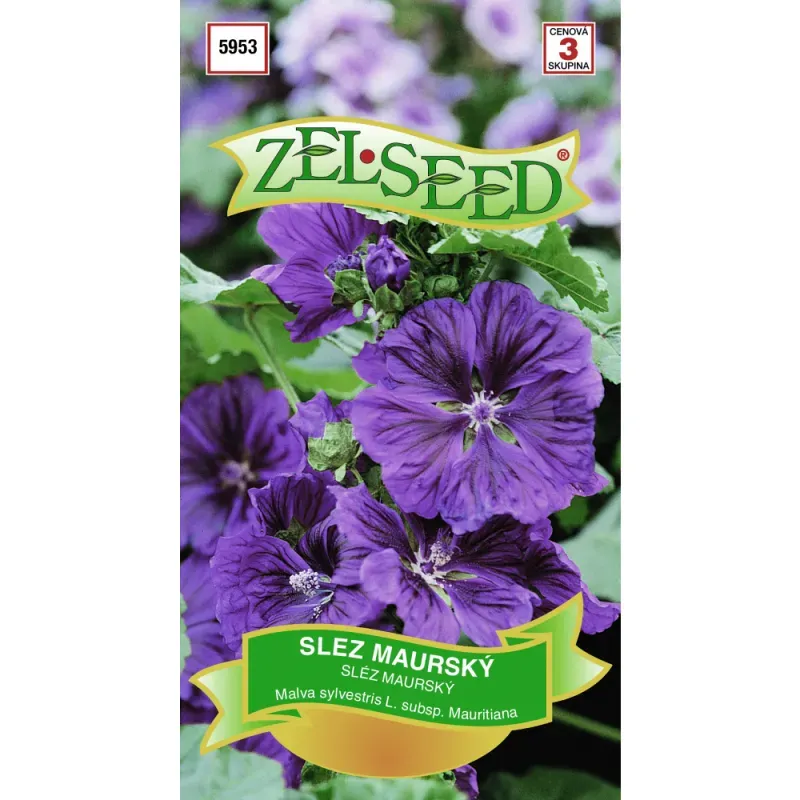 Slez maurský – Malva sylvestris ssp. G