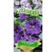 Slez maurský – Malva sylvestris ssp. G