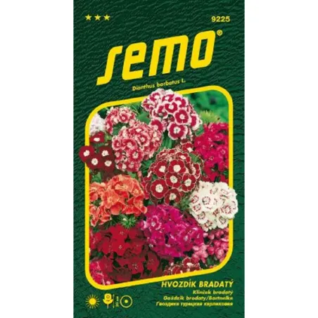 Klinček turecký jednoduchý – zmes