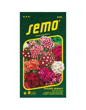Klinček turecký jednoduchý – zmes