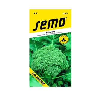 Brokolica Ramoso Calabrese