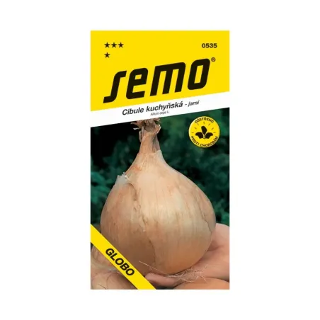 Cibuľa jarná Globo