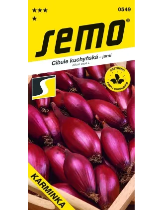 Cibuľa podlhovastá Karminka