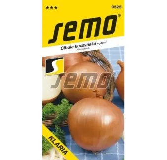 Cibuľa jarná Klaria