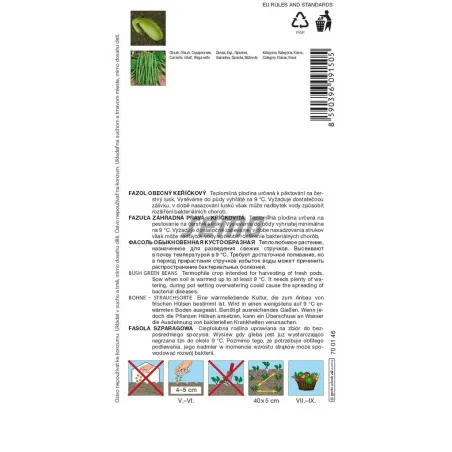 Fazuľa kríčková zelená Hawaii