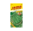 Fazuľa kríčková zelená Gusty (Sansoucy) 7 g Semo Fazuľa kríčková zelená Gusty (Sansoucy) 7 g Semo