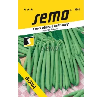 Fazuľa kríčková zelená Bona