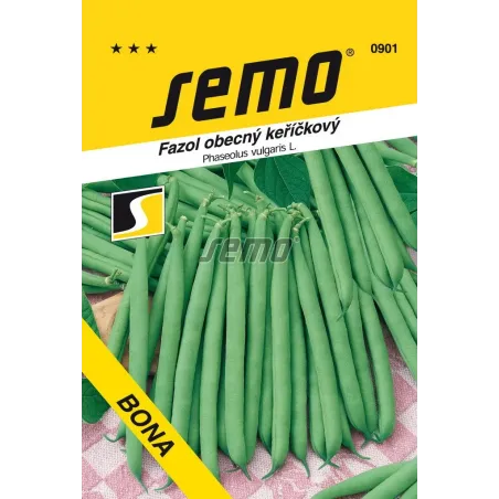 Fazuľa kríčková zelená Bona