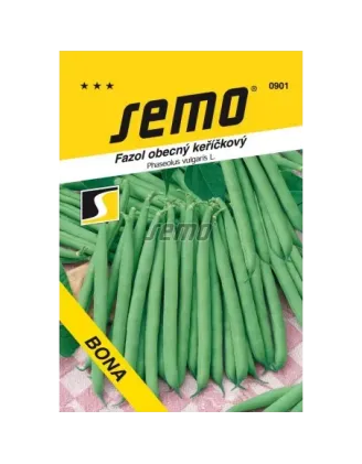 Fazuľa kríčková zelená Bona