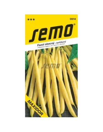 Fazuľa kríčková žltá Maxidor
