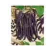 Fazuľa kolíková fialová A Cosse Violette Sans