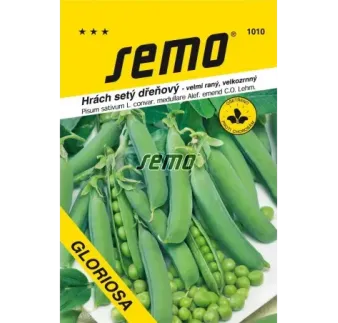 Hrach Gloriosa skorý