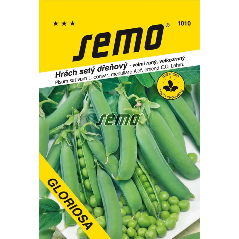 Hrach Gloriosa skorý
