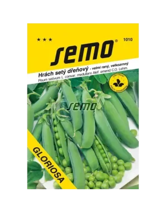 Hrach Gloriosa skorý