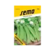 Hrach Ambrosia