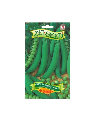 Hrach skorý Gloriosa 40 g