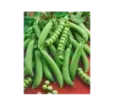 Hrach Radovan 50 g
