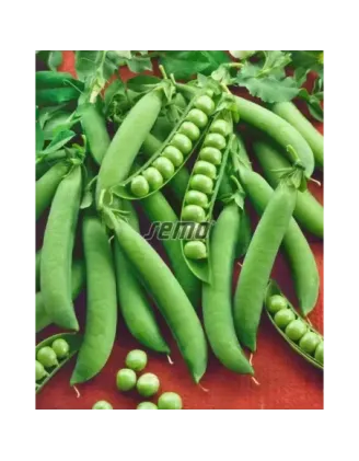 Hrach Radovan 50 g