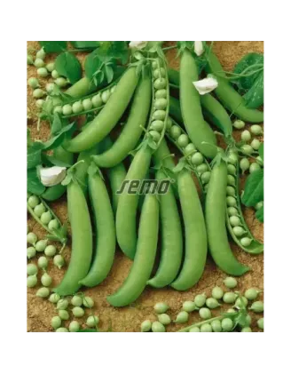 Hrach Oskar 250 g