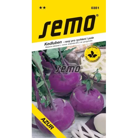 Kaleráb modrý skorý Azur