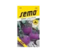 Kaleráb modrý skorý Azur