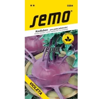 Kaleráb modrý neskorý Violeta