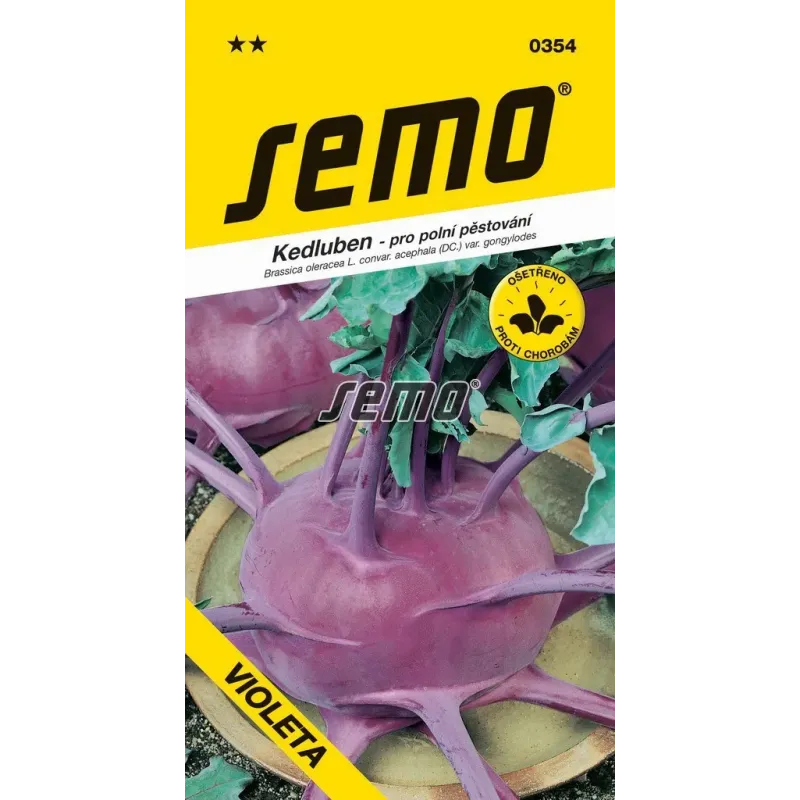 Kaleráb modrý neskorý Violeta