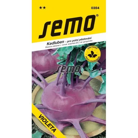 Kaleráb modrý neskorý Violeta