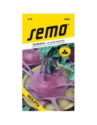 Kaleráb modrý neskorý Violeta