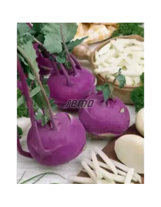 Kaleráb modrý skorý Azur