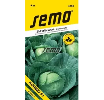 Kapusta neskorá Korino
