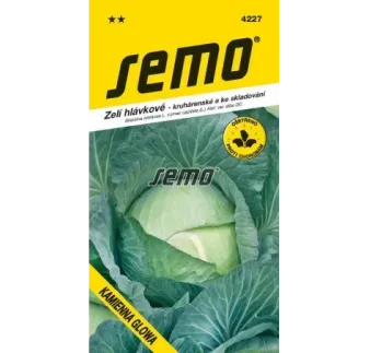 Kapusta neskorá Kam glowa