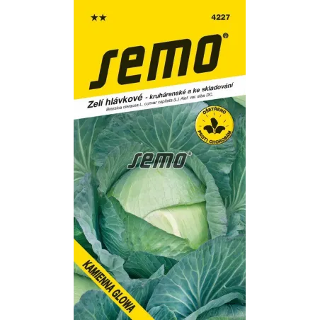 Kapusta neskorá Kam glowa